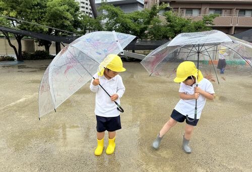 今日は雨の日！☔