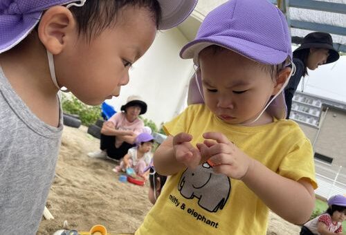 今日のつばめ組、あひる組（１歳児）