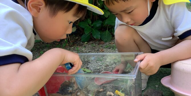 園の様子をご紹介します