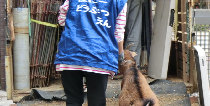 創立130周年記念　移動動物園がやってきた！