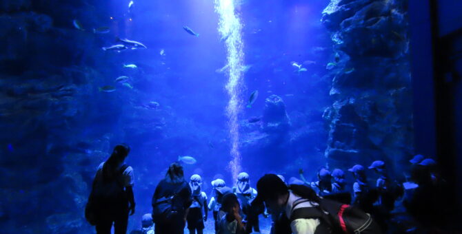 秋の遠足　京都水族館