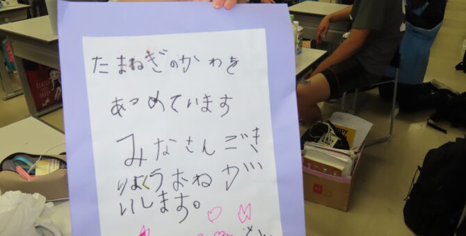 たまねぎのかわを　あつめています