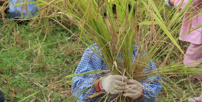 いねかり・絵本の日