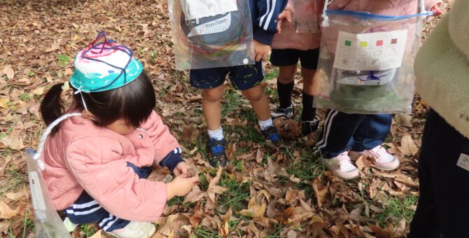 秋のハイキング（年少・年中組さん）