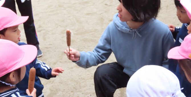 フランクフルト？